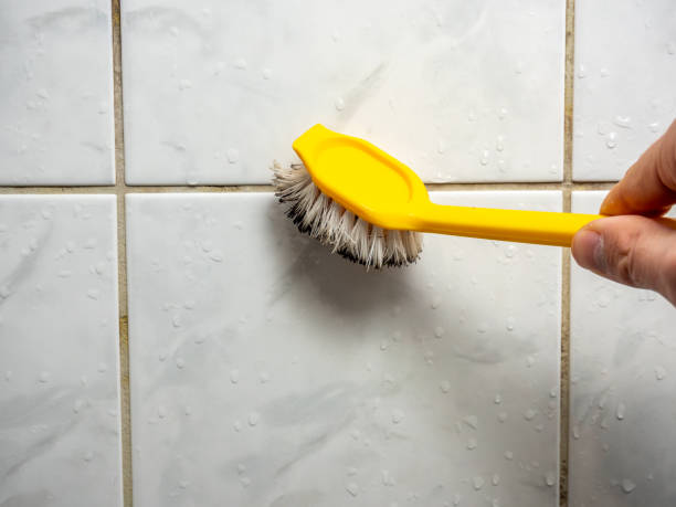 Best Mold Remediation  in Wildwood, NJ