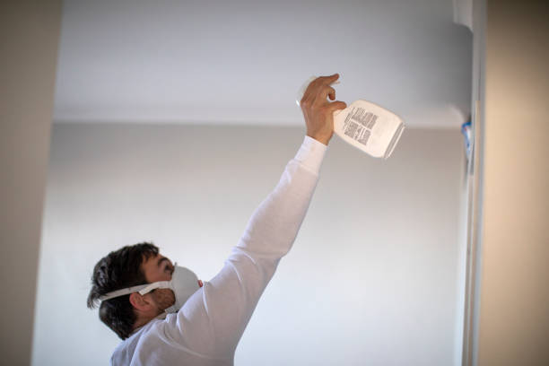 Best Fast Mold Removal  in Wildwood, NJ