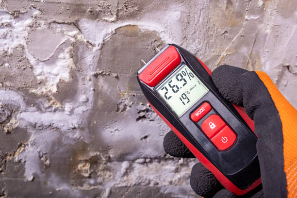 Best Crawl Space Mold Removal  in Wildwood, NJ