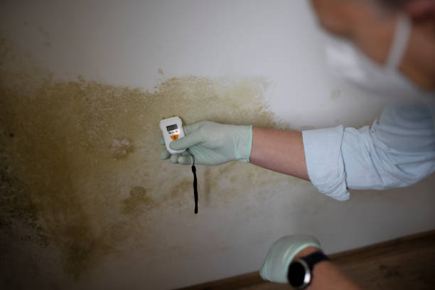 Best Water Damage Restoration  in Wildwood, NJ
