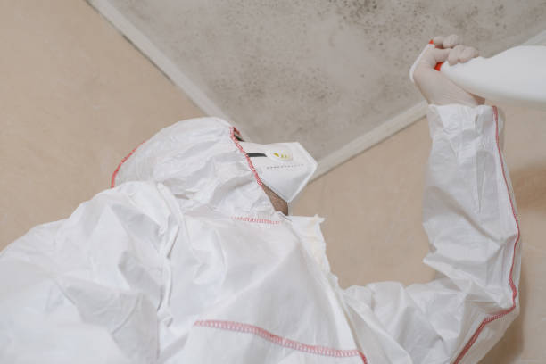 Best Professional Mold Removal  in Wildwood, NJ