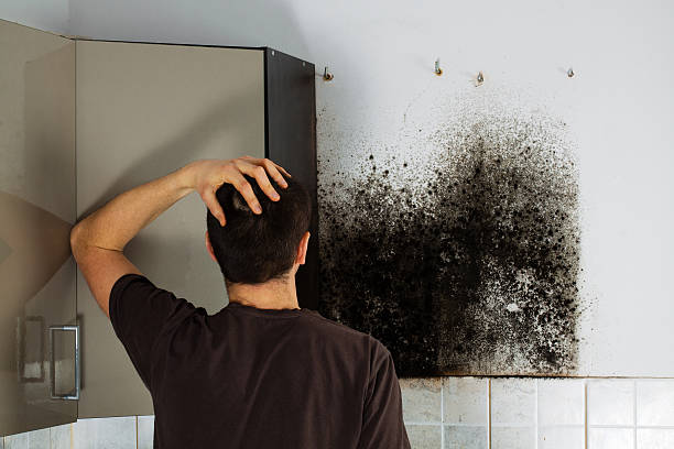 Best Commercial Mold Removal  in Wildwood, NJ